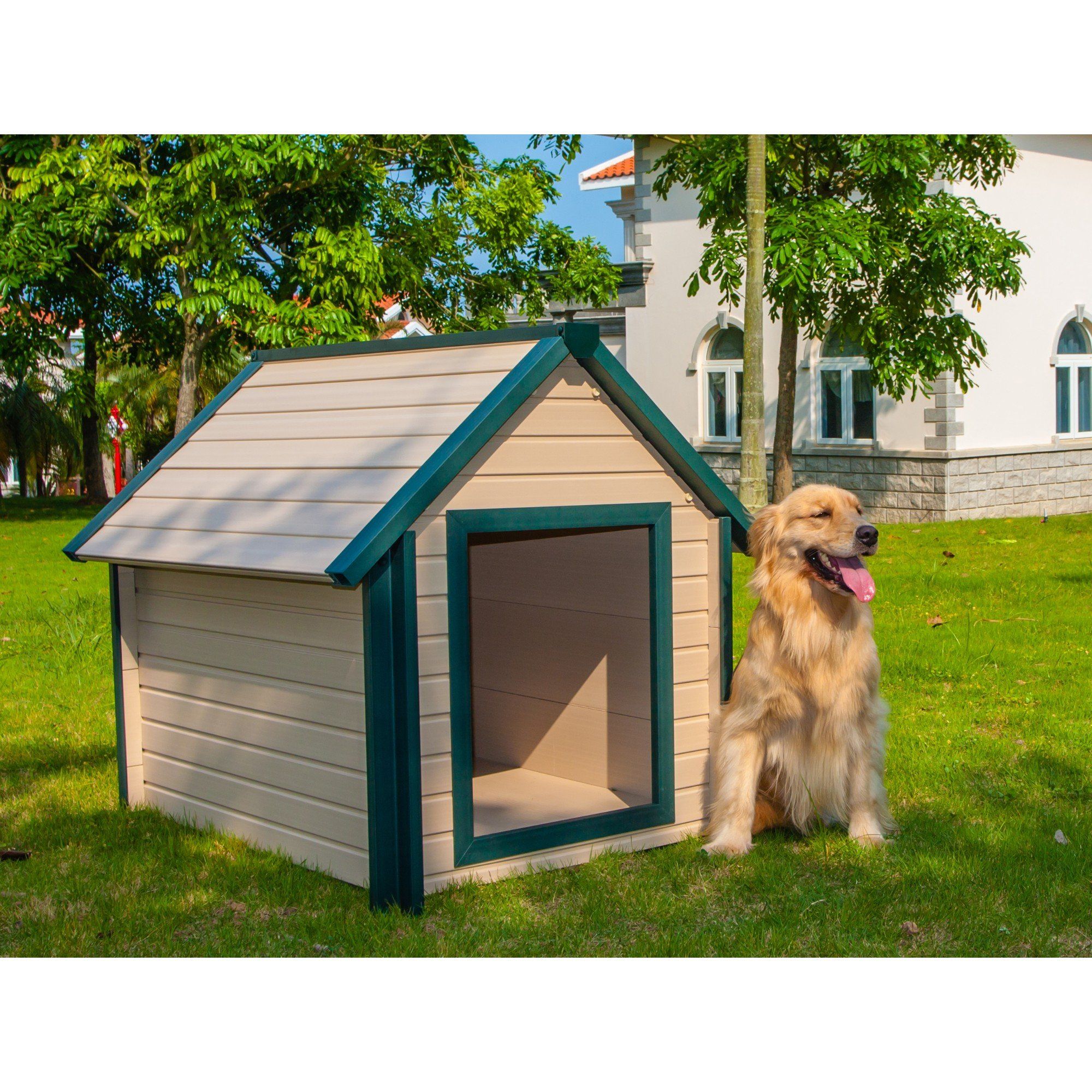 【Home&Garden】Bunk Style Dog House