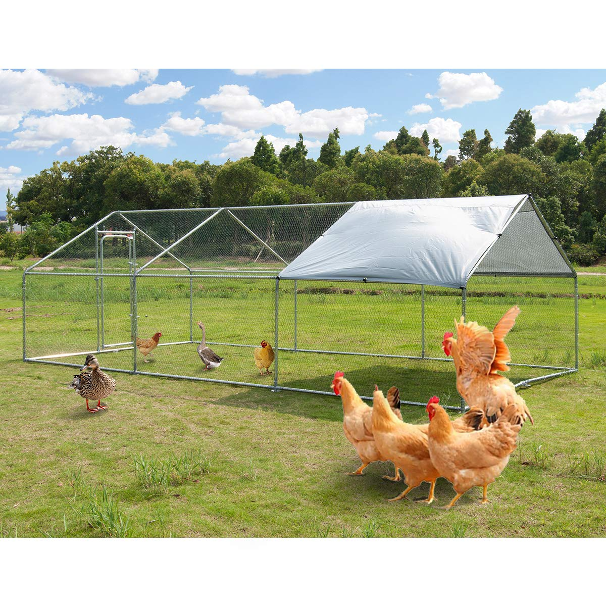 【Home&Garden】Large Metal Chicken Coop Walk-in Poultry Cage Hen Run House Rabbits Habitat Cage(10'Lx20'Wx6.4'H)