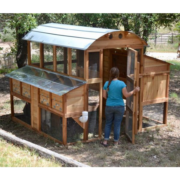 【Home&Garden】Walk-In Coop domed
