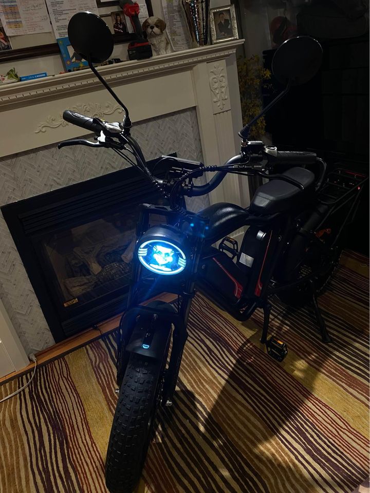 POWERFUL EBIKE DUAL MOTOR FRONT AND REAR TIRES DUAL 22AH hour BATTERY FAT TIRE ELECTRIC