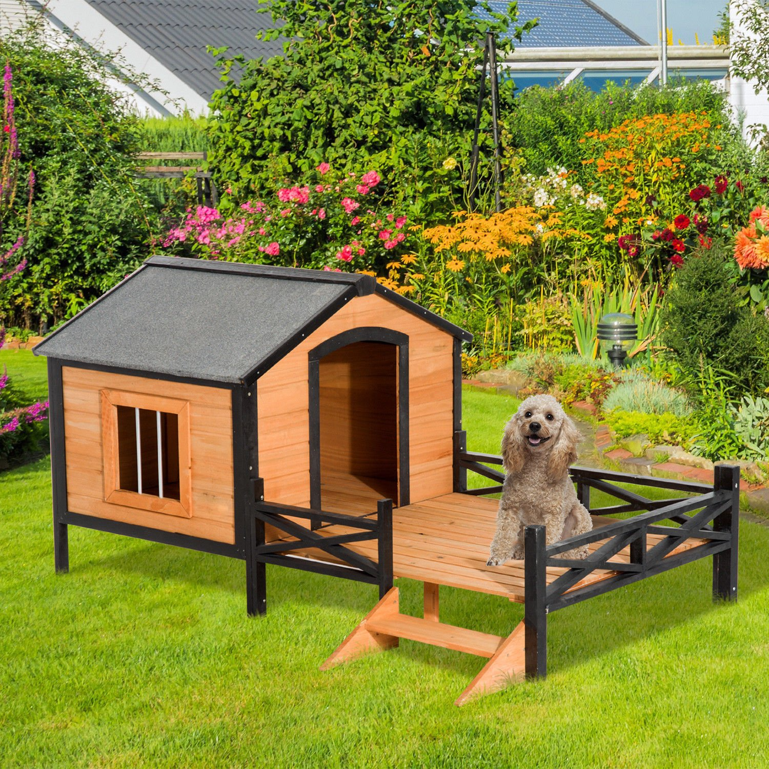 【Home&Garden】67