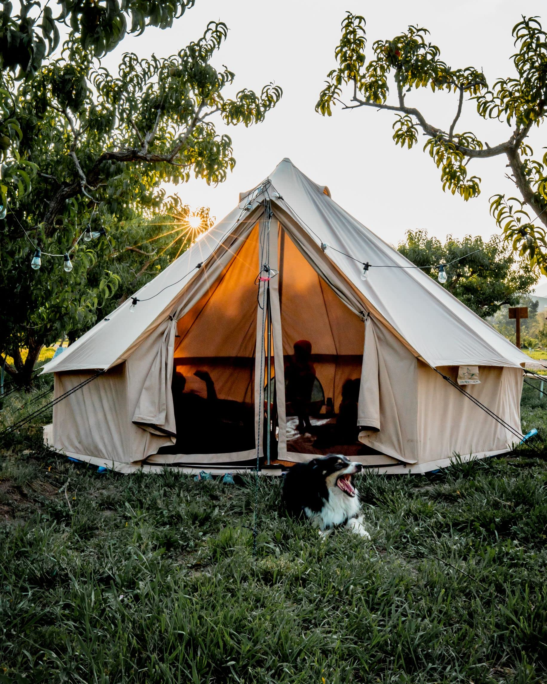 【Sports&Outdoors】Regatta Canvas Bell Tent - w/Stove Jack, Waterproof, 4 Season Luxury Outdoor Camping Tent