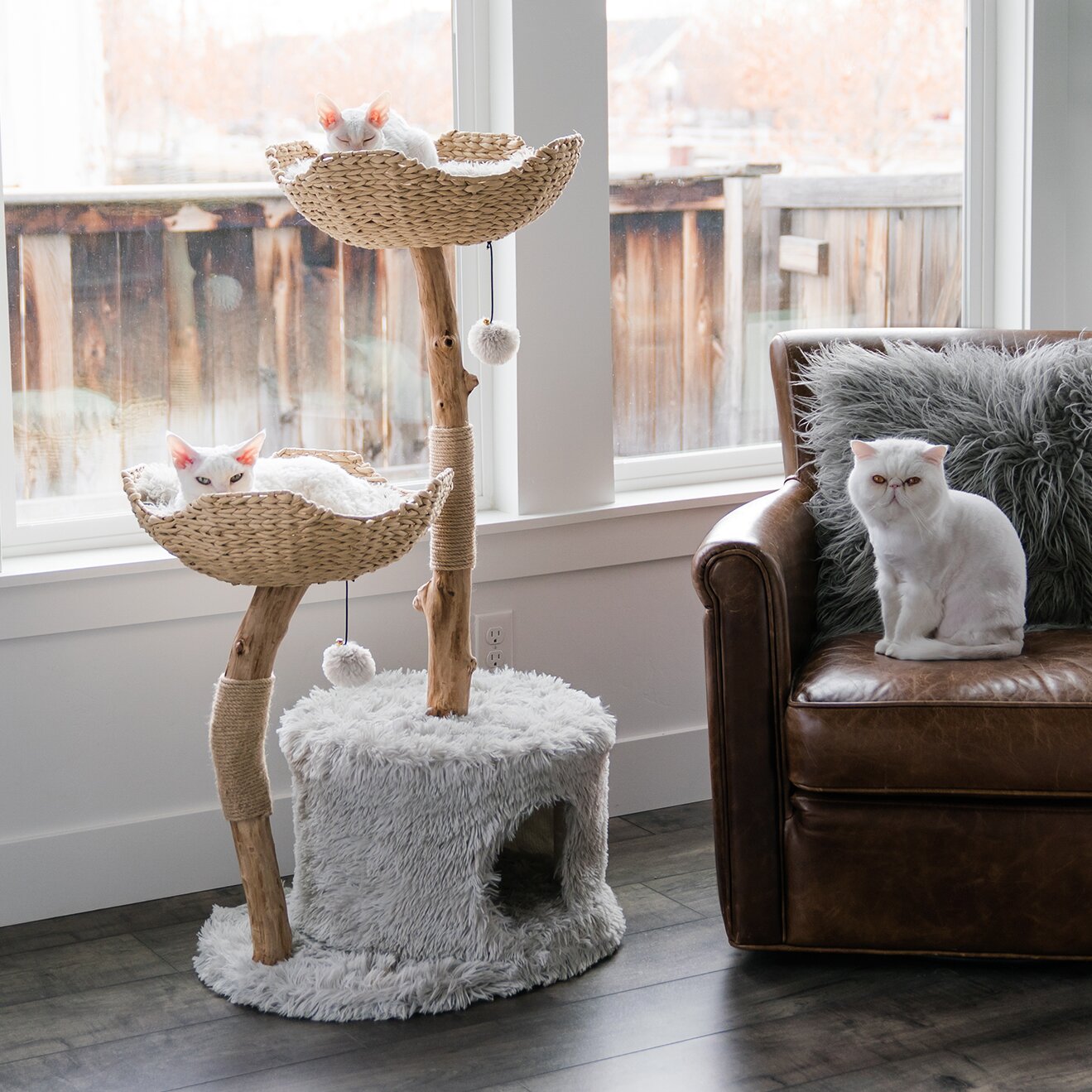 【Pet】46 Seeman Double Branch Cento Cat Tree