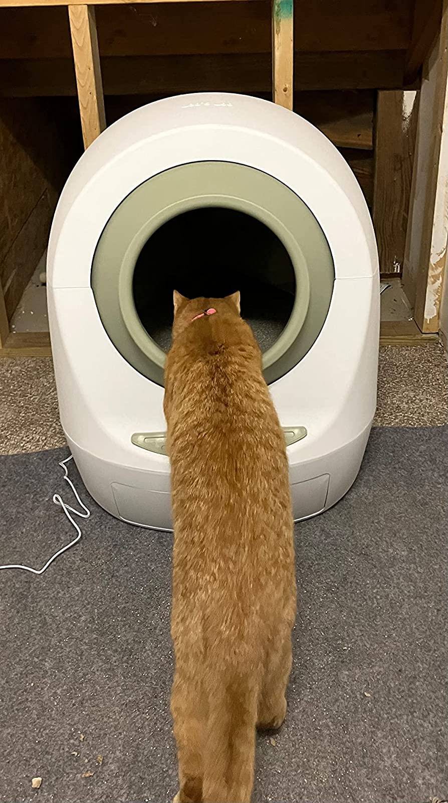 【Pet】Automatic Self-Cleaning Cat Litter Box Includes Charcoal Filter, Built-in Scale, Smart Home App with Voice Control