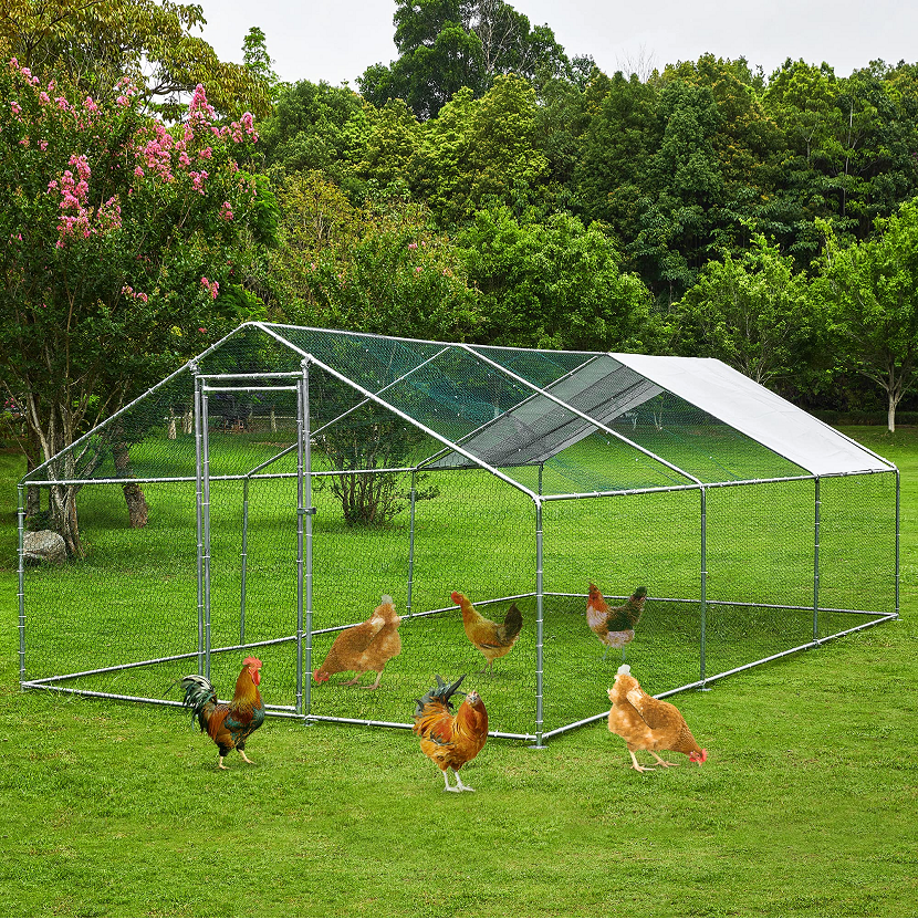 【Home&Garden】Extra Large Metal Chicken Coop Walkin Poultry Cage Rabbits Habitat Cage(19.6'Lx9.8'Wx6.5'H)