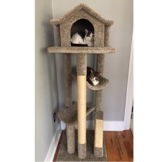 【Pet】66 Solid Wood Cat Tree