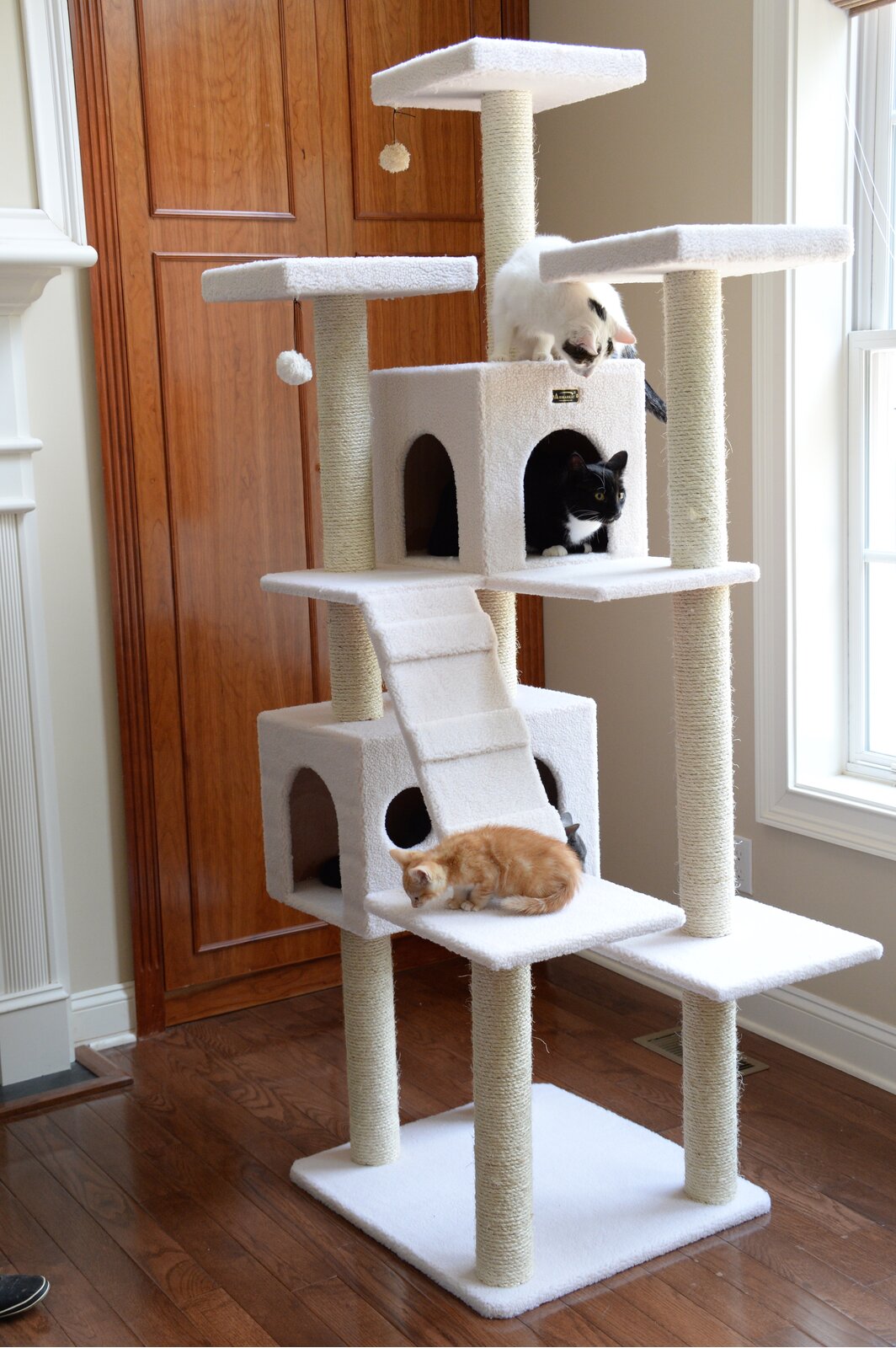 【Pet】77 Zuckerman Classic Real Wood Jackson Galaxy Approved Cat Tree